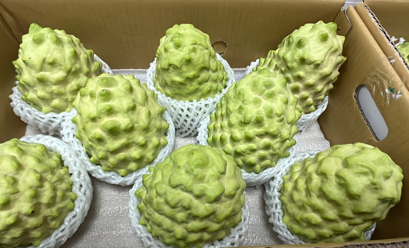 Taitung pineapple custard fruit. (photo-CNA)