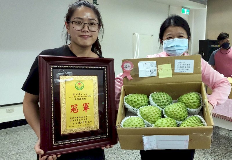 Champion Fruit of Taitung - Pineapple Custard. (File photo-CNA)