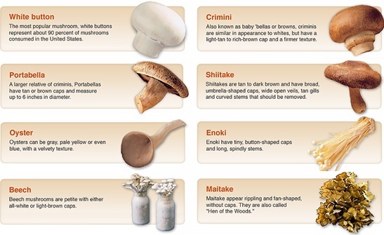 Food na pangpalakas ng immune system natin - Mushroom