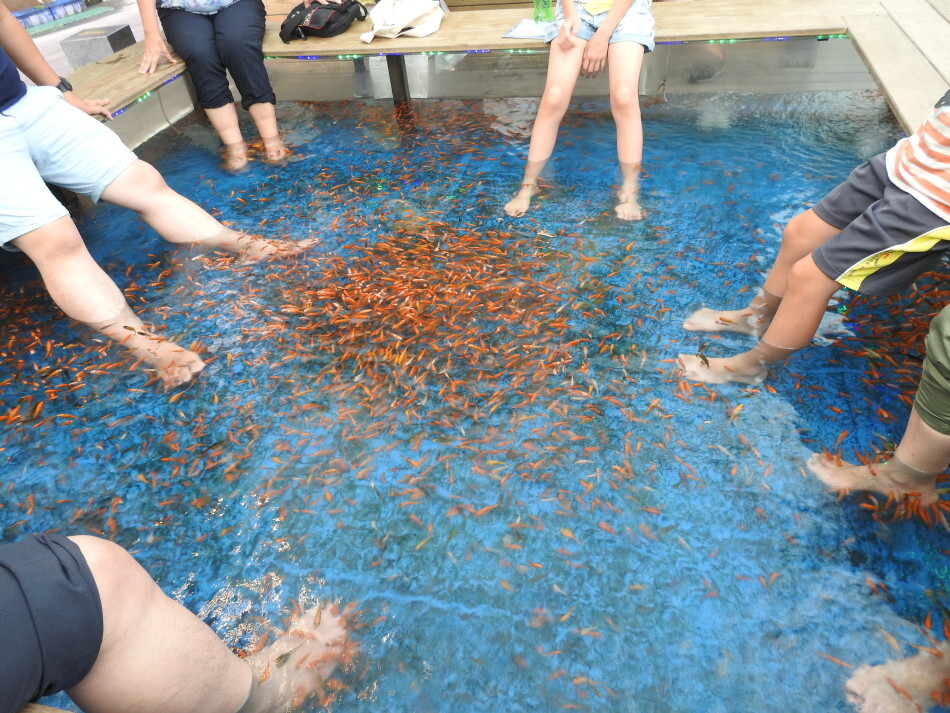 Fish Foot Spa: Natural na Exfoliation para sa mga Paa Fish Foot Spa: Natural na Exfoliation para sa mga Paa